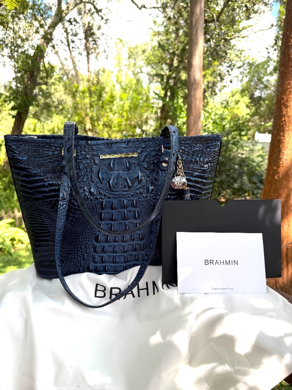 Brahmin Medium Asher Maritime Crocodile-Embossed Leather Tote - Excellent Con.